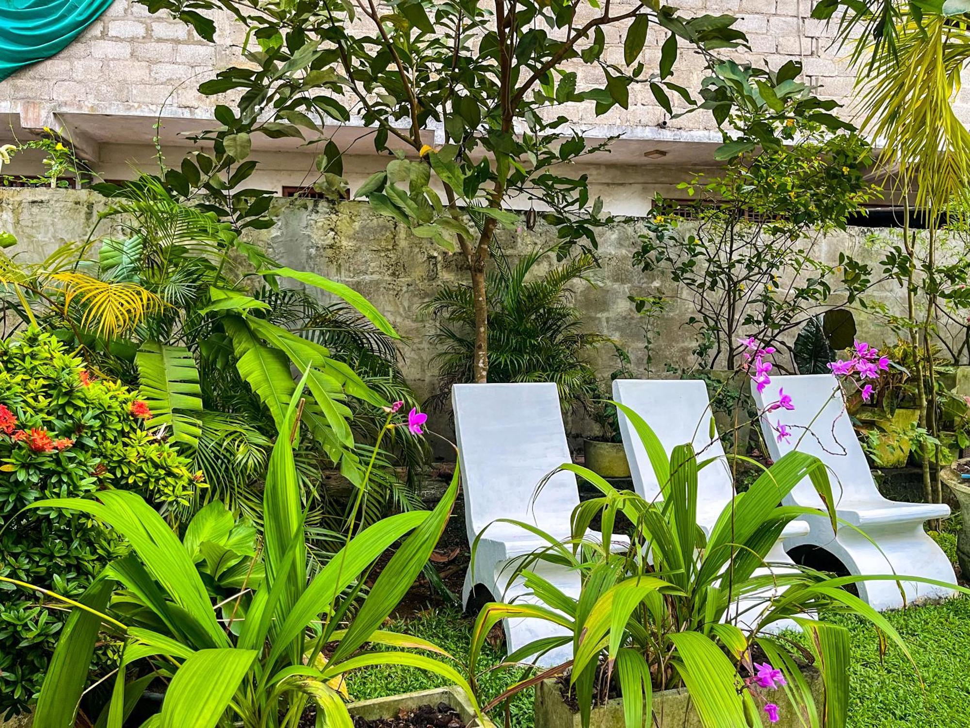 Galle Camellia Esterno foto