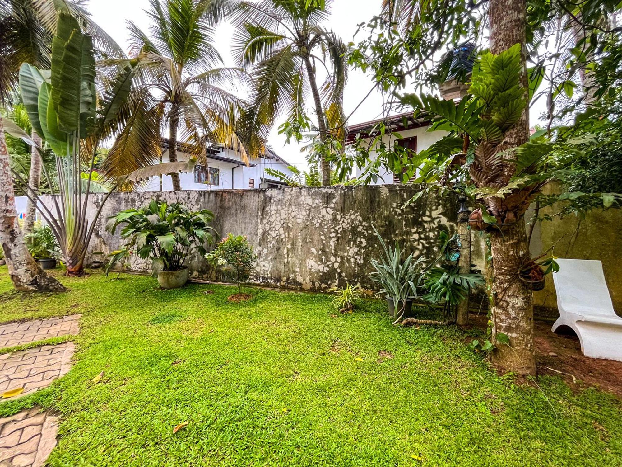 Galle Camellia Esterno foto